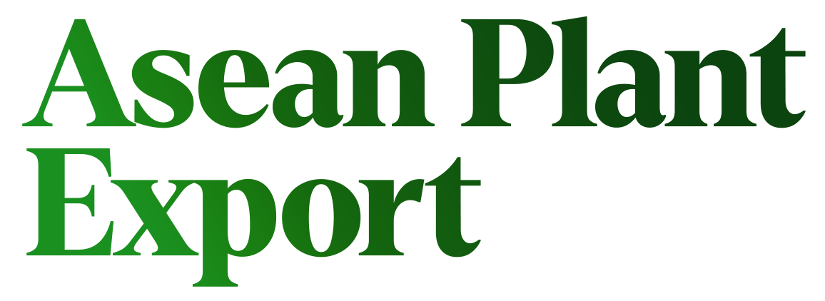 asean HTML